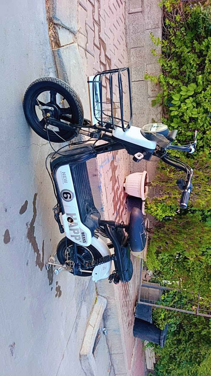 پاسکیل شه حن  پاک و جوان هه موشتی بیعه یب به شه رت بۆفرۆشتن
نرخ:١٧٠هه زار
شوێن:سلێمانی 
تێل:*********** السليمانية, العراق
