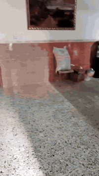 السلام عليكم بيت للبيع طابو ملك صرف مساحته 250 طابقين عالي عن الشارع واجهته 12.5 والنزال 20 يحتوي عله استقبال ومطبخ وهول وصحيات و2 غرف نوم الطابق الثاني 4 غرف نوم وصحيات المكان الرئاسه مال العبيدي بشارع 20 قرب افران المصطفى السعر خاص  الاستفسار ***********
