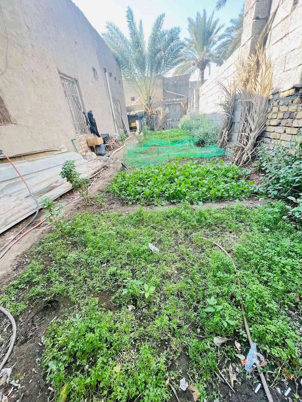 عقار للبيع طابو صرف مساحة ٤٠٠ مكان منطقة  ام طباشي مقابيل بانزين  خانة الشموس اول فرع نزلة مدرسة ١٤ تموز  
***********
