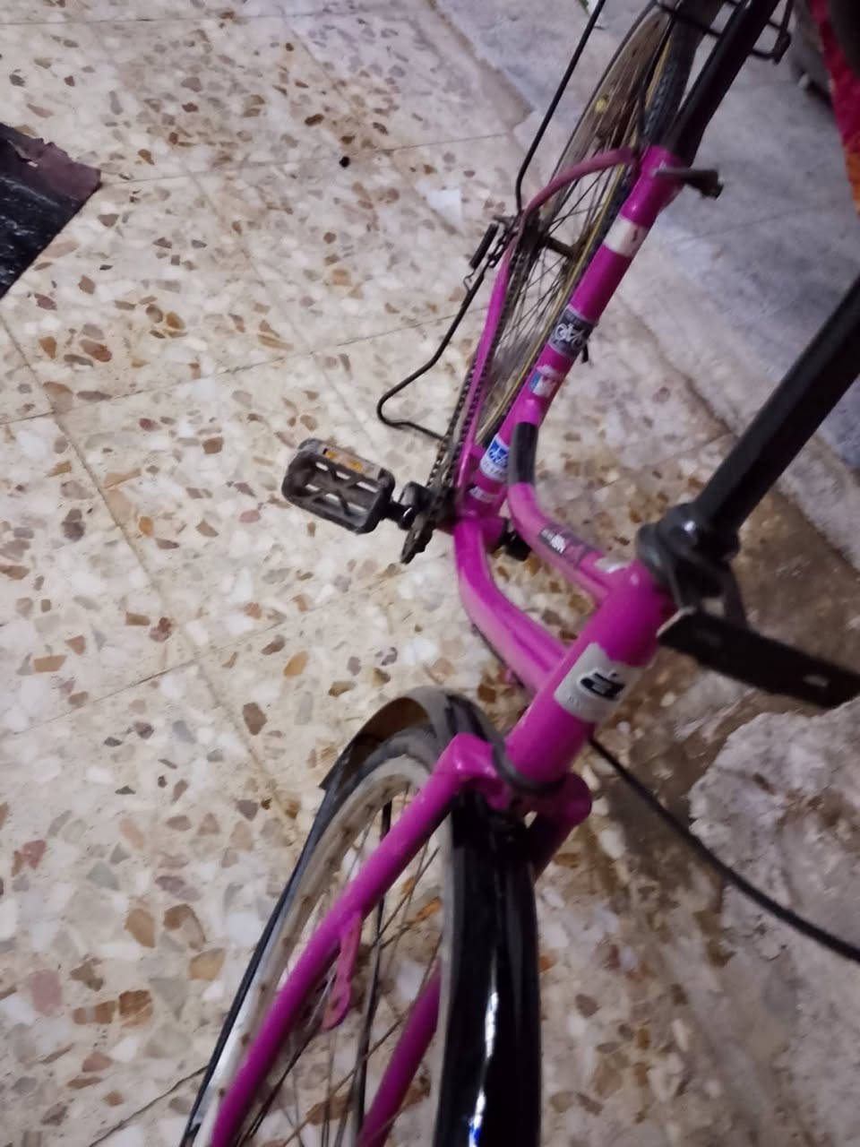 للبيع شطره مكاني


**إذا كنت صاحب هذا الإعلان وتريد حذفه لأي سبب، رجاءا أرسل رسالة إلى الدعم الفني**