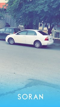 بيكاشو • ٢٠٠٦ • تماتيك