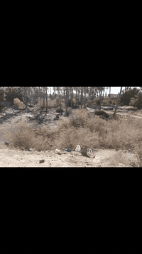 بسم الله الرحمن الرحيم 
اللهم صل على محمد وآل محمد 
2250متر للبيع طابو زراعي سند 25 تحويل أسهم واجهيه 21ونص نزال 106متر على شارعين خدمات ماء وكهرباء مولدة مباشر على شط الهنديه العنوان كربلاء طويريج قرب جسر 🌉 محرم طريق السادة السيد جاسم للاستفسار الاتصال على رقم 📱 الهاتف ***********
