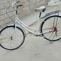 باسكل • ٢٦ إنش • السماوه الوركاء