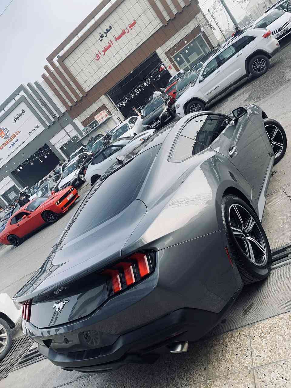 سلام عليكم
موستنك موديل 2024 الشكل الجديد 

ماشية ٦ مايل فقط يعني اخت الزيرو 

بدون نواقص كاملة مكملة تترقم شمالي 

عنوان السياره اربيل شارع ١٠٠ مدينة المعارض 

السعر ٢٢٨ ومجال للطيبين ويرهم مراوس بشي اقل 
عائلي او سبورت 

السياره قطعة وحده صبغ فقط وقطعة مبدله بلادي نفس لون 

جاملخ سكن صبغ 
باب سكن مبدل بلادي 
بدون شواصي بدون بدنه بجم كبس 
كير محرك كهربائيات شرط الفحص 
تواصل واتساب او اتصال والجاد والشراي فقط يتواصل رجاءا تحياتي للجميع 

 كورك ***********
اسيا ***********
