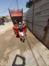 ستوته • شحن • ابو غریب