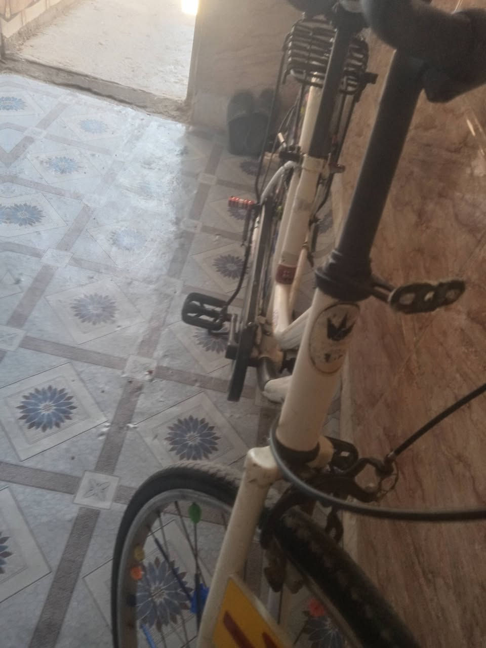 ب60 💸مكاني بغداد سبع قصو🚴‍♂️


**إذا كنت صاحب هذا الإعلان وتريد حذفه لأي سبب، رجاءا أرسل رسالة إلى الدعم الفني**