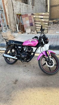 شاينك • ٢٠٢٥ • سكنر