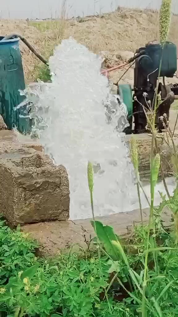 ماطور البيع بل 10 ؟؟؟ ***********
