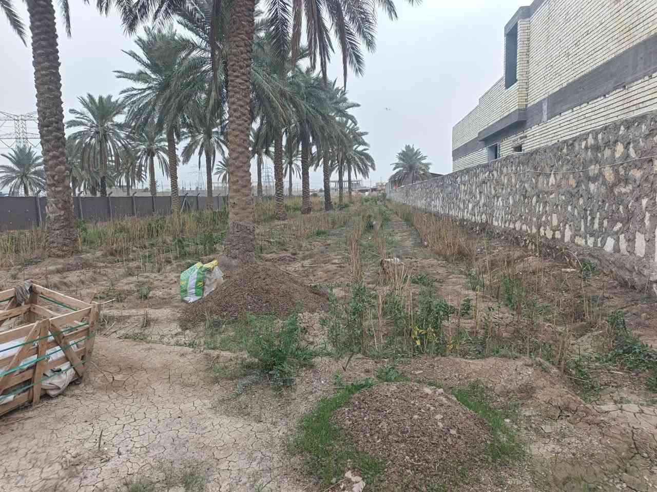 يالله توكلنا على الله وهو خير الرازقين
اخوان كلشي واضح ب الفيديو اسمع المقطع للاخير

قطعه تحفه ومتتعوض وحتى السعر راح اذكره حتى من تتصل عندك معلومه على السعر وكل سعر بي مجال هذي قاعده ثابته 

بس ضمن المعقول

ارض متتعوض ومتتحصل بيج موقع وجماليه وكلشي متكامل 

مدارس شوارع كل الخدمات

 طابو زراعي سند (٢٥) منفرد بأسم شخص🚶 واحد فقط

يعني تحويل مباشر 

السعر (٢٧٠ ) وبيها مجال مساحة (٢٥٠٠) متر مربع 

الواجها ٢٢  والنزال ١٣٩ 

للاستفسار أكثر الاتصال على الارقام التاليه

***********

***********

***********  هذا👉 فقط وات ساب وبخدمتكم 

تحياتي المدير الكروب المحترم
