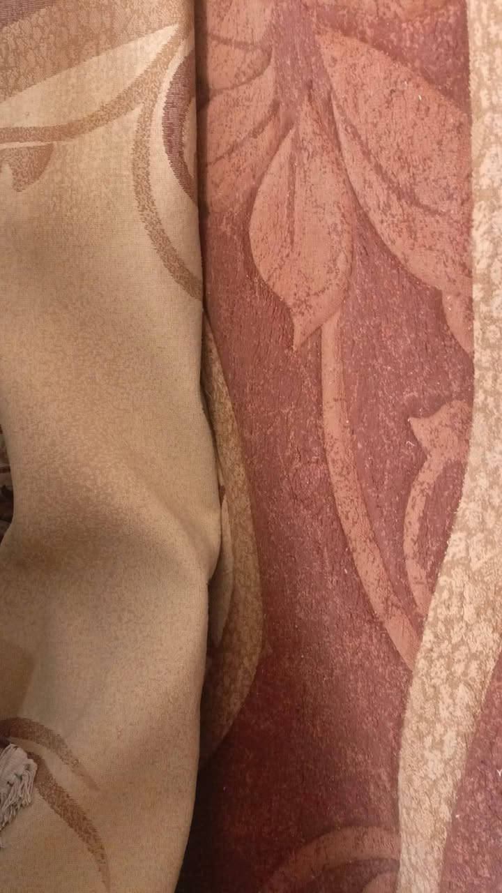 زوليه اخت الجديده 3 في 4 سعر 60


**إذا كنت صاحب هذا الإعلان وتريد حذفه لأي سبب، رجاءا أرسل رسالة إلى الدعم الفني**