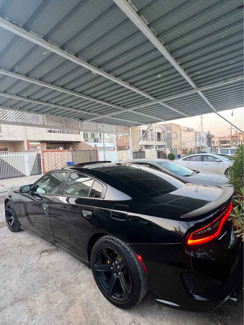 سلام عليكم
ماشاءالله تبارك رحمان 
Charger 2021 SXT PLUS
تحويل وكاله نفسل يوم
گير محرك اكسل مكفول
فول فول
فتحه
كشن خزن
٤ كشن هيتر +ستیرن
کشن تبرید
حاسه خلفی
کشن جلد
بنيد SRT
ويلSRT
دعامياتSRT
سياره ٢ قطعه مصبوغ بنيد مبدل SRT
شويه pdr بل باب نفر
بدون دواخل
شاصي لوغد بطانه مكفول
مكان أربيل 
سعر بلاش 218 وڕەقە  بي شويه مجال
واتساب 0️⃣7️⃣5️⃣1️⃣7️⃣2️⃣2️⃣7️⃣2️⃣3️⃣2️⃣ أربيل, العراق
