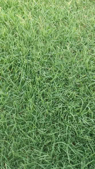 أهلاً بكم في مجموعه مزارع ديالى لثيل الهندي الطبيعي 🌿🌱

 نقدم لكم افضل انوع الثيل الطبيعي عالي الجوده يتحمل كافه الضروف البيئية.🌦️🌞

دائم الخضرة🌿🌳 وباسعار تنافسيه وعروض مميزة ☘️❤️

#مستعدون لتجهيز وفرش الحدائق🏡 ودوائر الدولة🏡والمنازل🏡🏡

و تجهيز الملاعب🏟️ والمنتزهات بانسب الاسعار مع ضمان الجودة العالية في العمل👷👷

مع خدمة التوصيل خلال24ساعه🚛🚛

الاسعار 💵💸 تختلف حسب الكمية 

للاستفسار الاتصال على : 

او التواصل مع الصفحه عن طريق ارسال رسالة على الوتساب او الاتصال📞‏‪***********
