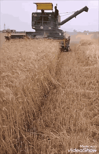 دراسة جوندير موديل 80 رقم نينوى بسمي مشروع وطني مكينه كير شرط تواير جديد مكان جنوب  ***********
