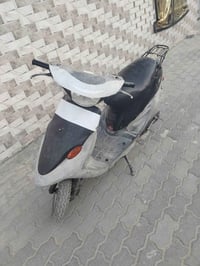 بيجي فحل • صفر • بستم خفيف