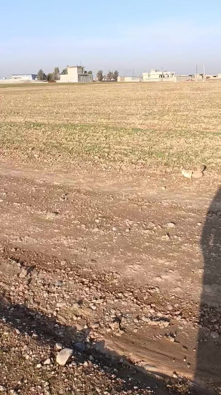 هاي الارض صايره ورا سيطره الشمسيات صايره قصف اخرى هاي الارض زراعيه الارض مساحتها 110 الارض مربعه  قرار 25 الارض رايدينها ب 6:30 بيها مجال   ***********   ***********
