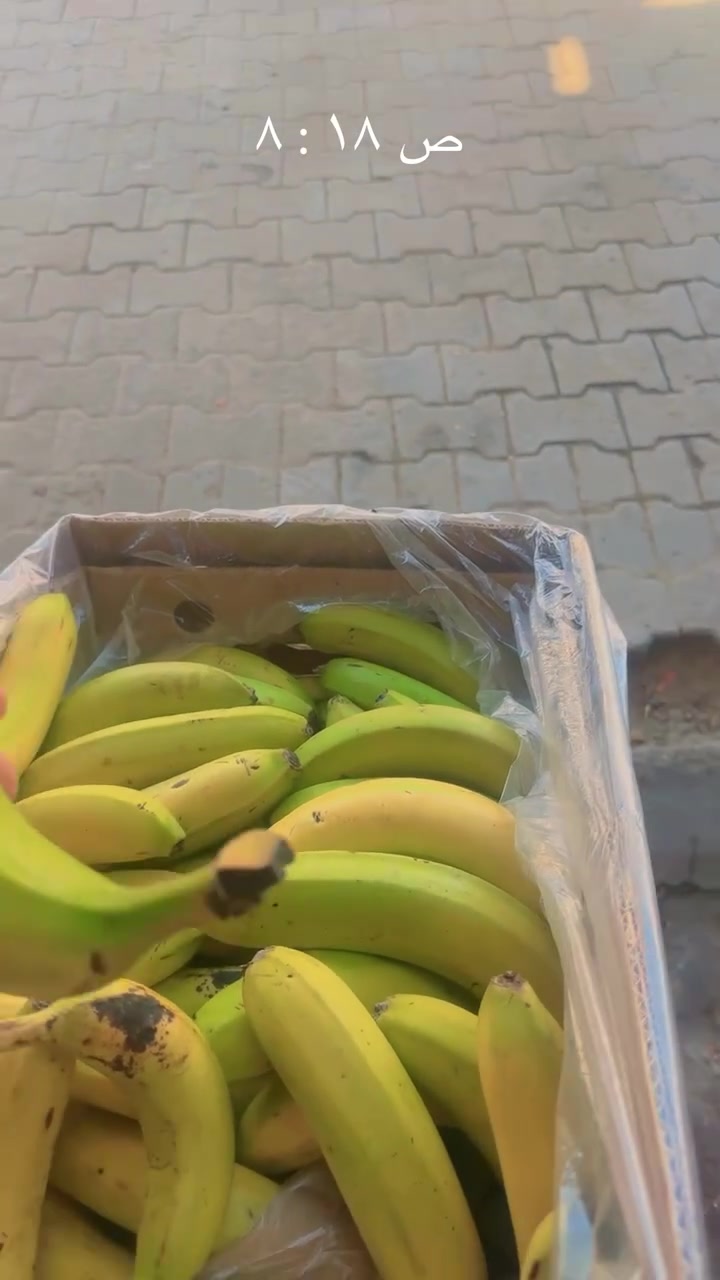 ‏علوه ناحية الإمام


**إذا كنت صاحب هذا الإعلان وتريد حذفه لأي سبب، رجاءا أرسل رسالة إلى الدعم الفني**