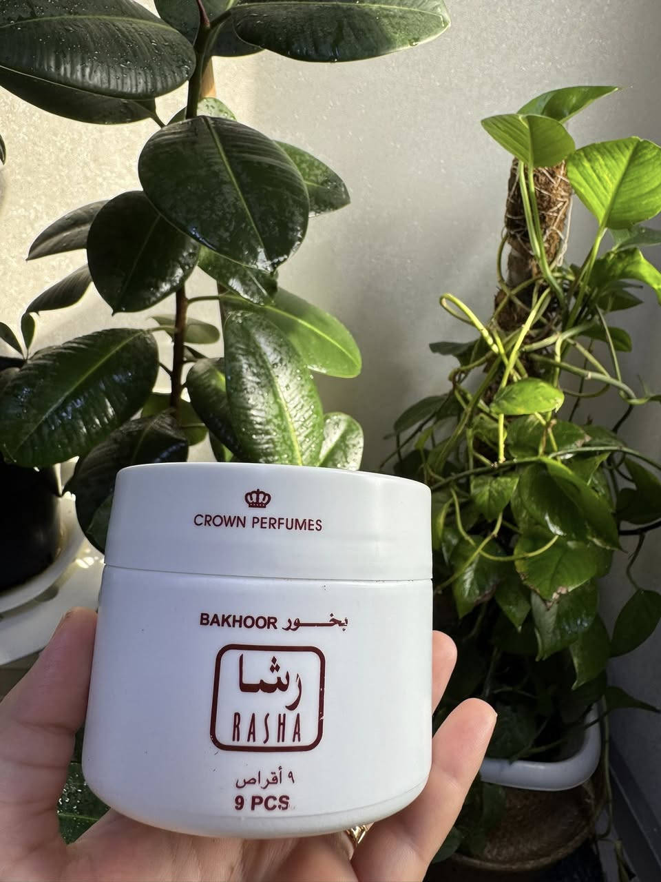 عطّروا ليالي رمضان بالبخور، وعطّروا قلوبكم بالذكر
باقة مميزة من بخور شركة الرحاب 
سعر القطعه ٥ فقط


**إذا كنت صاحب هذا الإعلان وتريد حذفه لأي سبب، رجاءا أرسل رسالة إلى الدعم الفني**