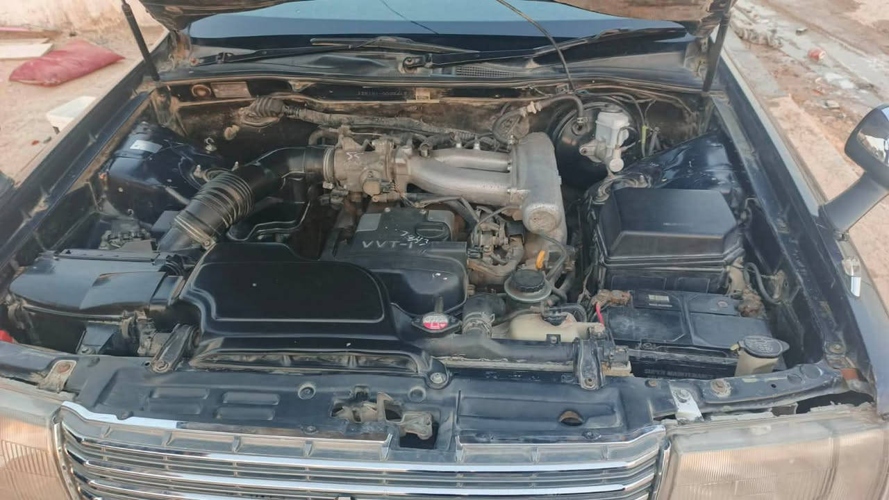 السلام عليكم راس ثور تكم كفاله نكليزي للبيع عنوان نجف ‏‪+9647802796116‬‏
