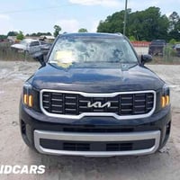 تولورايد • ٢٠٢٤ • بدون كمرك