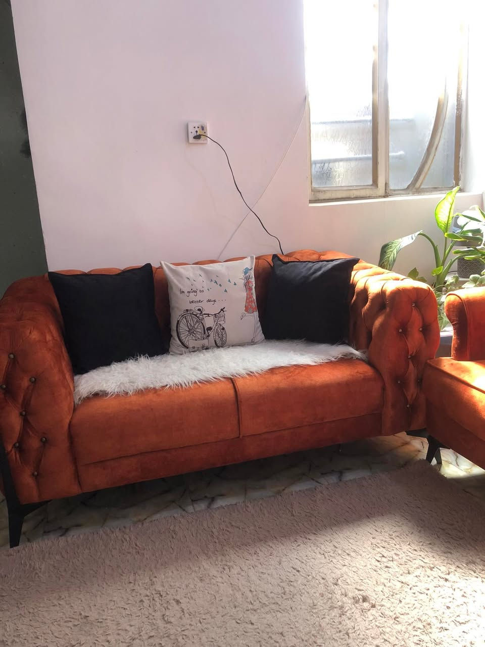 نص تخم للبيع عراقي موديل تركي
سعر الاصلي ٤٠٠سعر البيع ٢٥٠
العنوان الدوره


**إذا كنت صاحب هذا الإعلان وتريد حذفه لأي سبب، رجاءا أرسل رسالة إلى الدعم الفني**