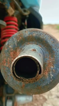 سكنس فحل • ٢٥٠ • دخن