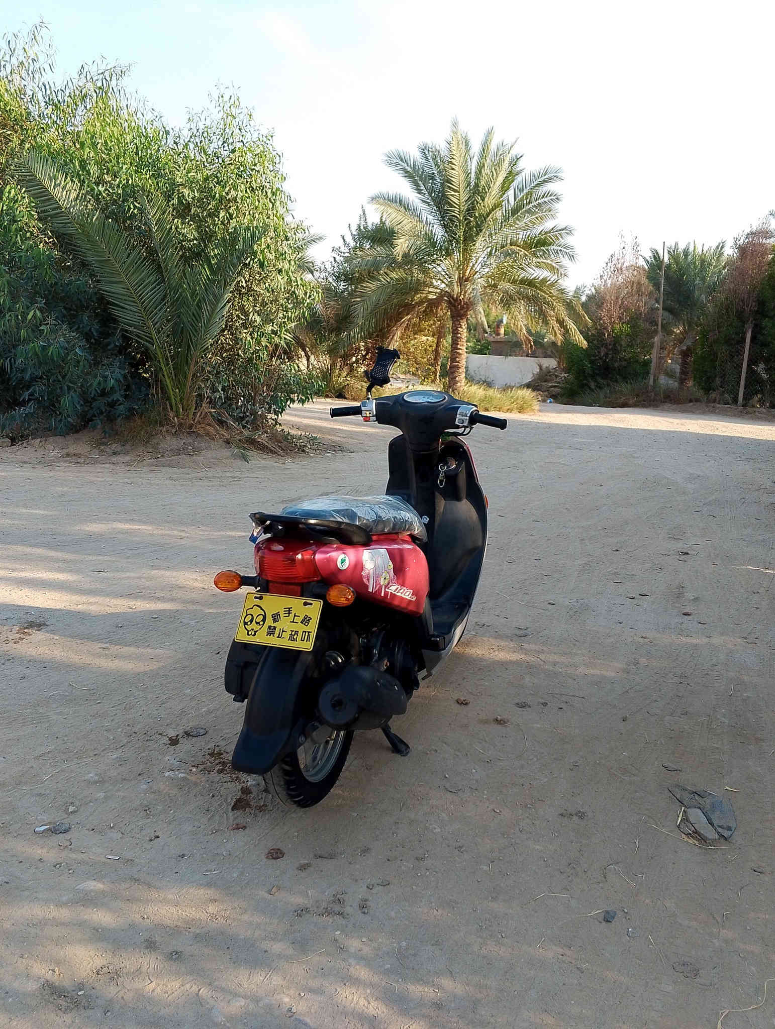 السلام عليكم دراجة فله للبيع على حسب الاصول ختم واحد كله مكينه صبانه ماممدود عليه شلعه مع المعدل دراجه بيه دمام اصلي اي نقص مابيه فقط بيه خرخشه بلكلج الخلفي 
تريده بدون دمام عادي السعر 725 وبيه مجال مكاني بابل المسيب ***********
