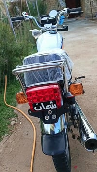 شلامجه ٢٠٢٢ • مكفول • ديوانيه قضاء عفك