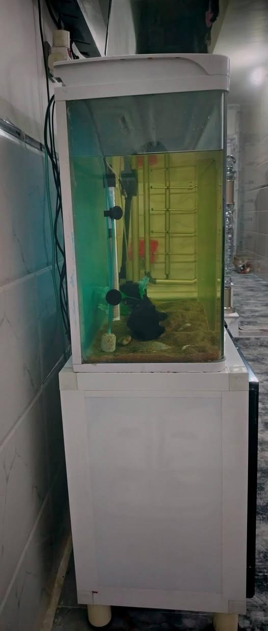 سلام عليكم ورحمة الله
حوض جاهز مو عمل قياس متر ماركه معروفه جاهز من كلشي وحته الشاشه مالته شغاله
فلتر سقفي
فلتر بايلوجي +ماطور اوكسجين
هيتر
شمعه اناره احترافيه
منضفة اوساخ
وشجره زينه
سعر ٢٨٠ الف
واتساب ***********
