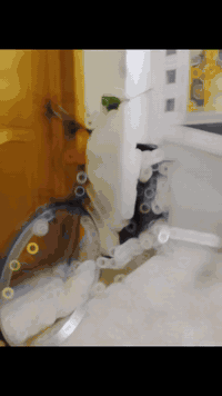 سلام عليكم باسكل بطه نضيف كلش حجم 26 الباسكل فول اوبشن لون اسود كامل مكمل بلجيس  كلشي مابي السعر تفليش 
١٢٠ و بي مجال الاتصال على رقم 
*********** لاتصال واتساب
