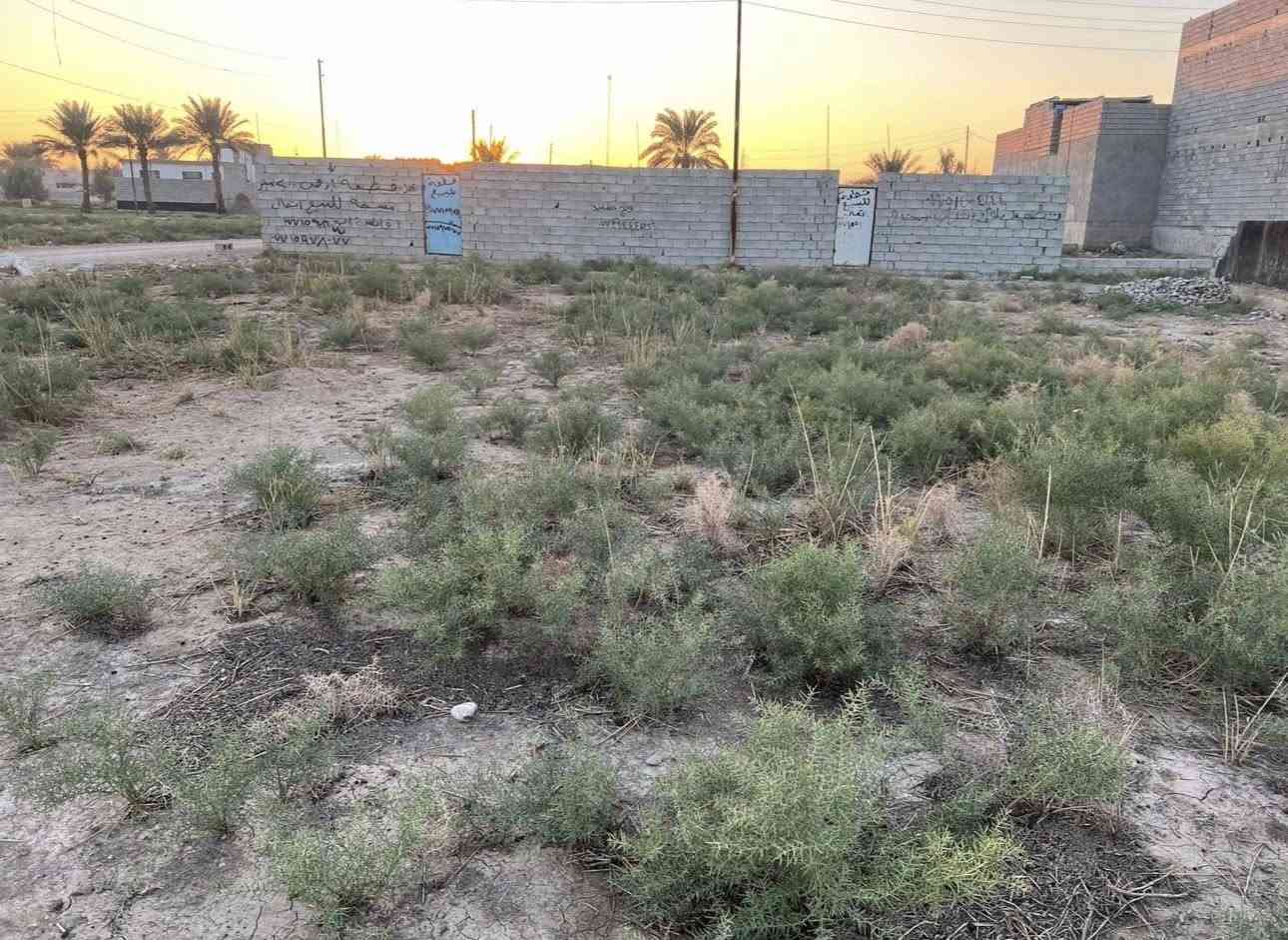 قطعة ارض للبيع بسعر مناسب ،بعقوبة – العثمانية – الصناعية الثالثة ، طابو زراعي سند 25  ملكية مضمونة ، خدمات كاملة ، المساحة 200م ، السعر 19 مليون
***********
