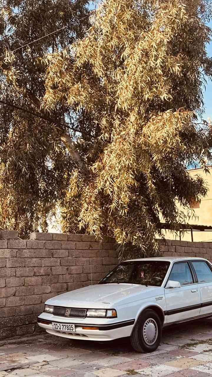للبيع
اولدز موبيل 1990 محرك امبالا والكير أصلي شرط تبريد ثلج مكفوله كفاله عامه بس السقف صبغ مال هزه مكفول طخم جديد تواير جديده السياره وضع شركه
السعر 65$ بيها مجال قليل


**إذا كنت صاحب هذا الإعلان وتريد حذفه لأي سبب، رجاءا أرسل رسالة إلى الدعم الفني**