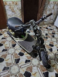 مصريه • سلف • كفرات