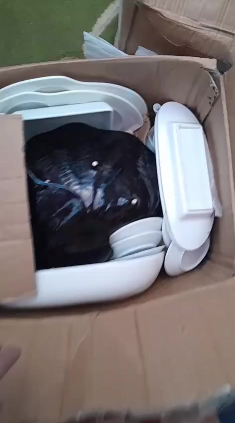 شلعه كراتين مستعجله على بيعتهم يريدهن يدخل خاص


**إذا كنت صاحب هذا الإعلان وتريد حذفه لأي سبب، رجاءا أرسل رسالة إلى الدعم الفني**