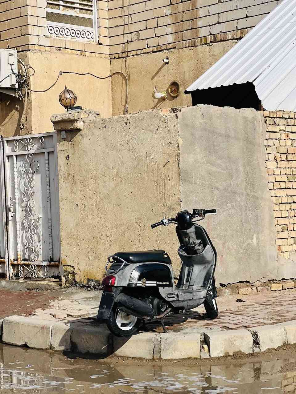 بوليس نوزل كفاله عامه صار 3 اشهر نازله من الرمبه كلها شغاله مابيها نقص شعره نكره سلف ما تذب عليها ربع. السعر 850وبيها مجال قليل الرقم ***********ومتواجد ماسنجر واتصال
