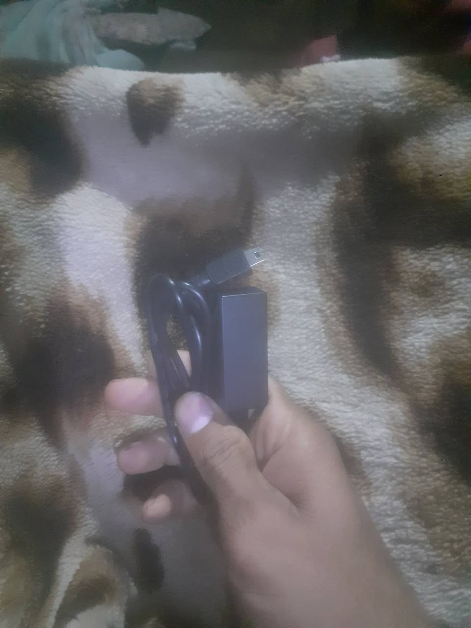 للبيع كلهم ب١٠الاف جديد حي سومر بلا معامله بس الستلايت بوحدو ب١٢الف
✨ فرصة ما تتعوض ✨


**إذا كنت صاحب هذا الإعلان وتريد حذفه لأي سبب، رجاءا أرسل رسالة إلى الدعم الفني**