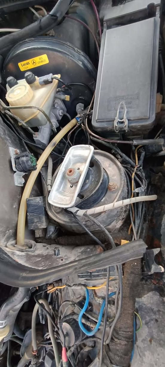 مرسيدس دب موديل 1991 اصل مكفوله من الضربه صبغ عام جماليه  محرك بلاد عنكبوت 6 سلندر  لاتنقيص ولاتبخير كهربائيات كلها شغاله تبريد شغال وشاشه وكامره سنتر لوك شغال سلايت طكتين شغال رقم كربلاء بسمي سنويه لل30 قواعد دبل نظيفه موجوده بالصور مكاني كربلاء الابراهيميه رقم ***********

السعر ٥٣ وبيها مجال بسيط
