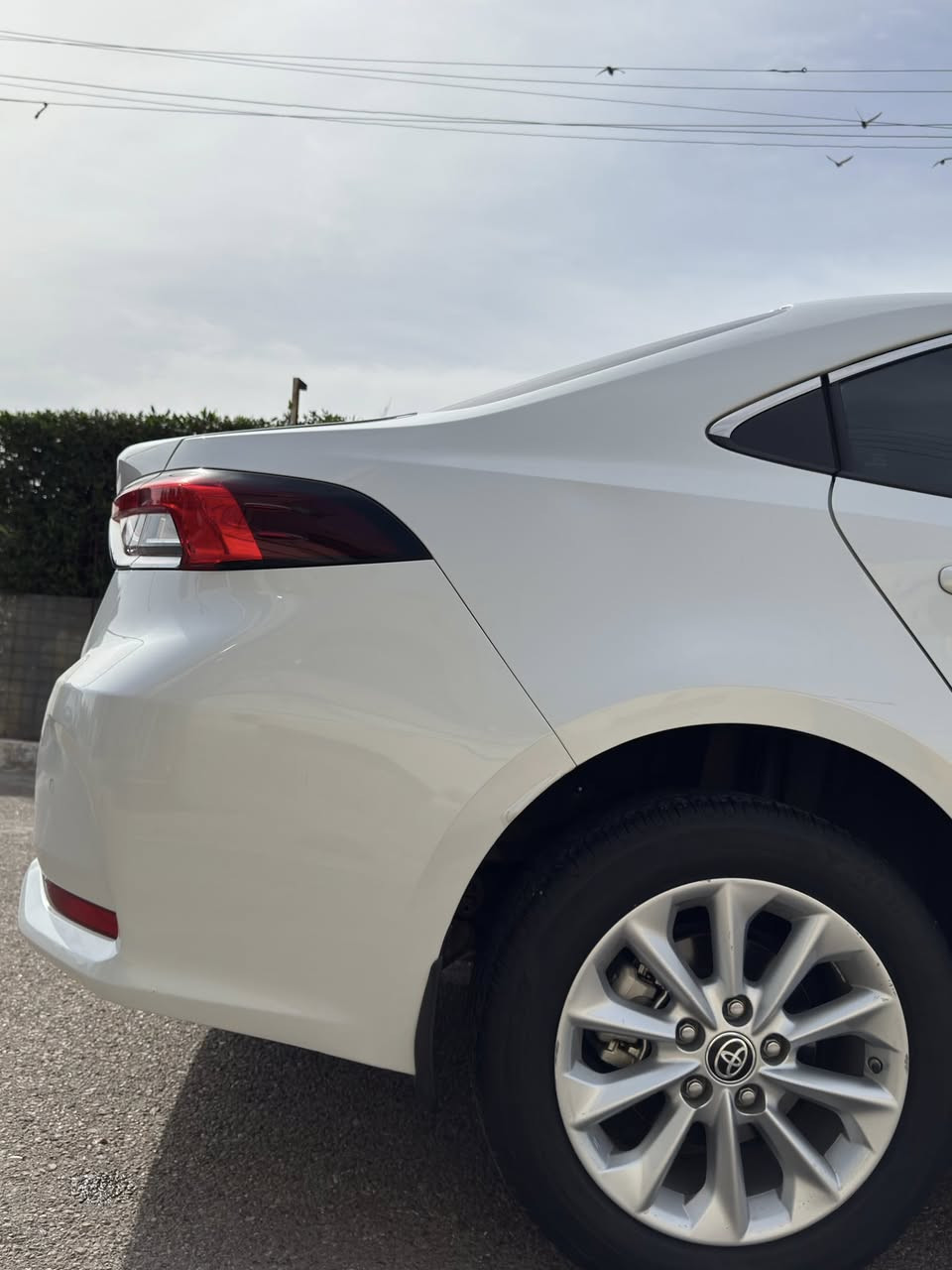 كورلا ساز 2022
كورلا ساز  موديل 2022  فول مواصفات فتحة بصمة GLI

محرك 1800

عداد المسافة:40 الف كيلومتر

السيارة مكفولة كفالة عامة من الفتح الصبغ التبديل البارد 

مكينه وكير مكفولات كفالة عامة

السعر 175 وبيه مجال بسيط
مكاني بغداد 
الرقم ***********
