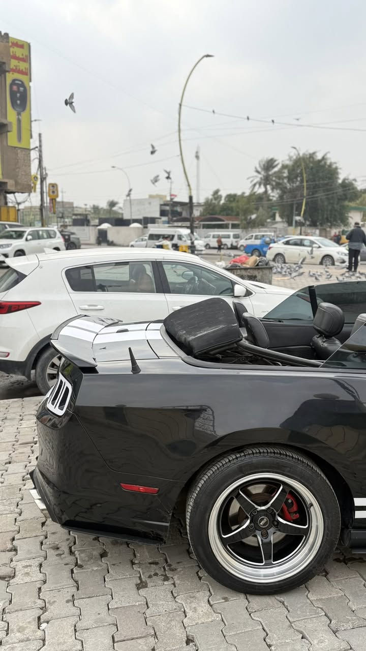 سلام عليكم موستنك جيتي GT للبيع موديل 2012 رقم بغداد
حادثه جاملغ خلفي بيه قطع صبغ ابيع احزام 
عليه هدرز + برمجه وتفريغ 
ودبات بورله 
بدون شواصي بدون لغد 
سياره فول دشبول ٧ الوان شاشه بلادي 
كشنات جلد كهرباء + تدفئه + مري معتم  
ويل ويلد تخم تاير باتري جديد 
لد متغير زنون 
لد تكساس امامي
مكينه كير سليمات ولا كلوب مشتغل بيه بدون ايرباك 
صدر امامي خلفي جديد 
سياره جاهزه من كل نواحي 
كشف ادامه جديده شغال 
سياره جاهزه 
مكاني بغداد 
السعر 88 وبيه مجال
***********
