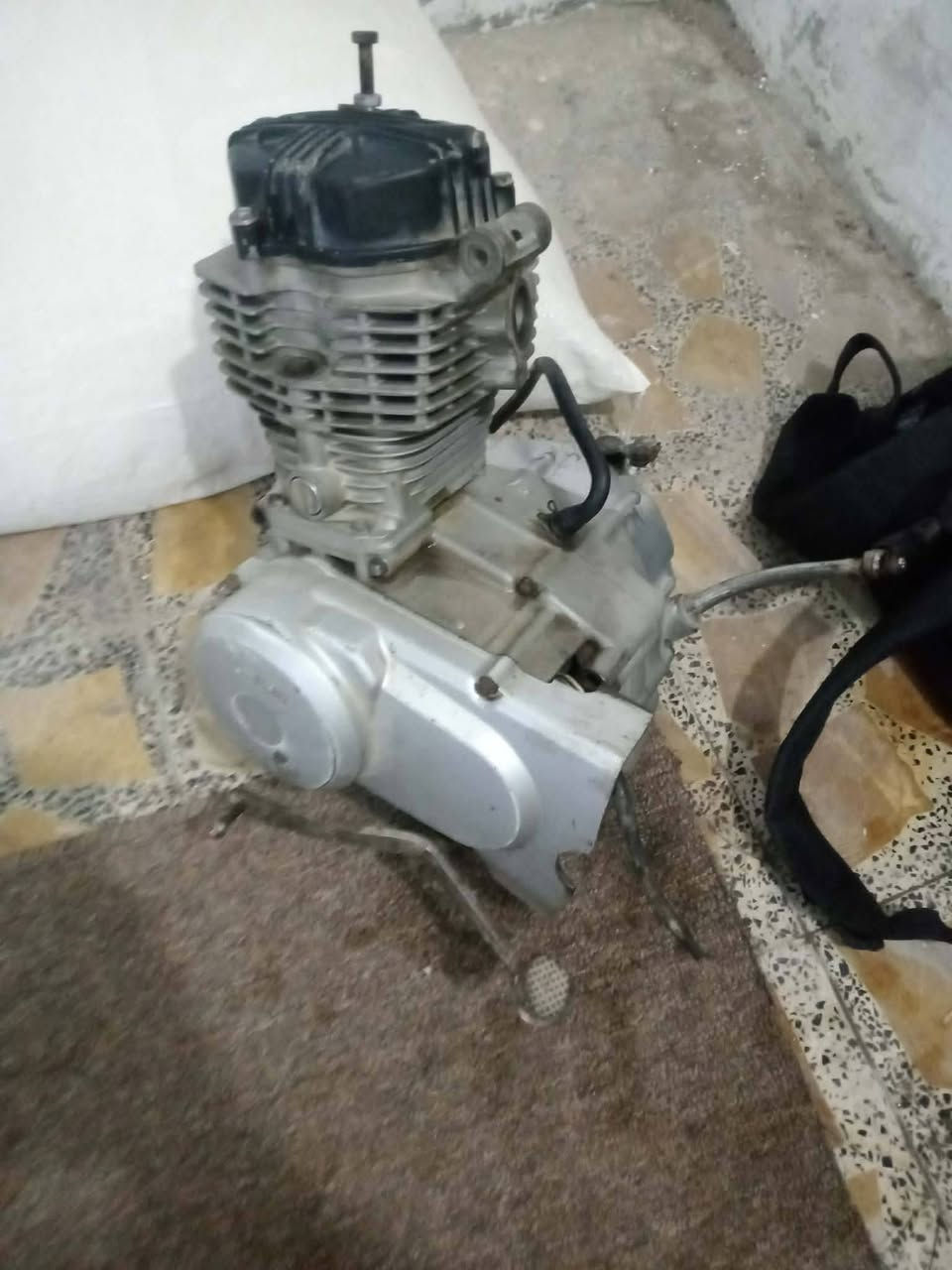 سلام عليكم شباب شاصي البيع كلك ومكينه البيع شاصي مكفول من عواج كلش ما بي ومكينه هونده شغاله شراي يشلع عيني


**إذا كنت صاحب هذا الإعلان وتريد حذفه لأي سبب، رجاءا أرسل رسالة إلى الدعم الفني**