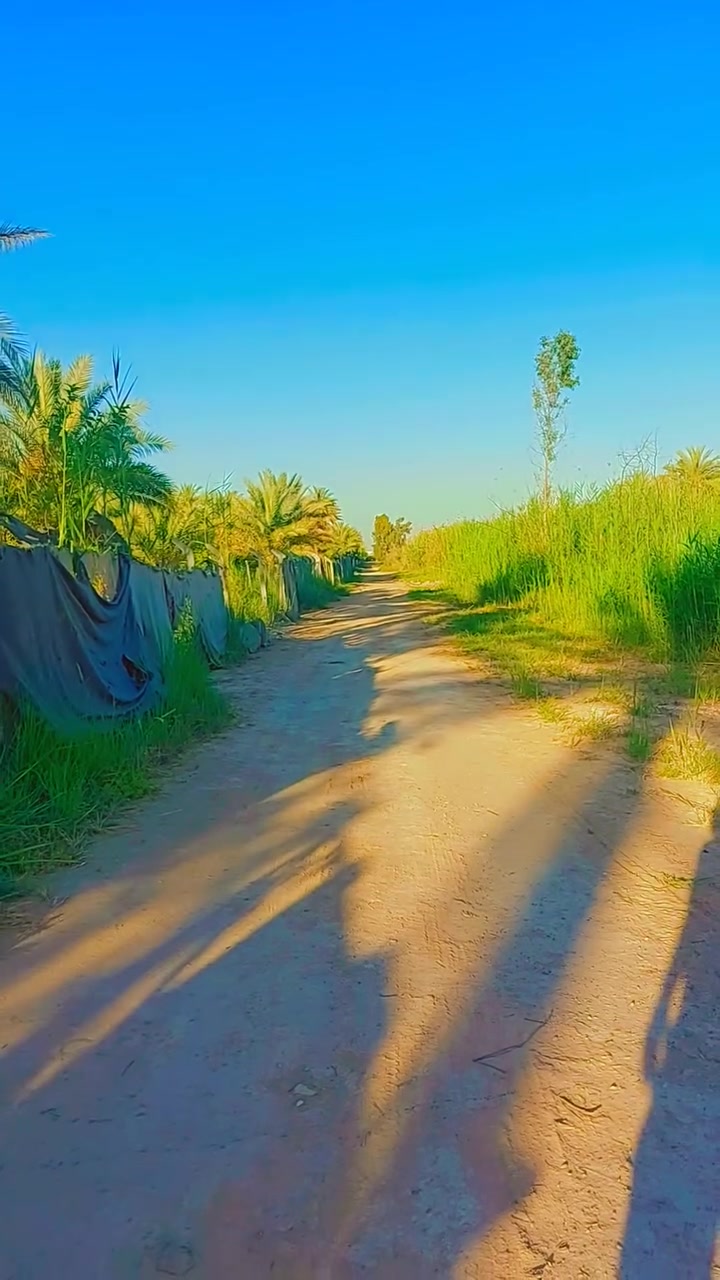 السلام عليكم  دونم للبيع بالراشدية جميع خدمات متوفره  وجه دونم ٤٠  × ٦٠  دونم  يحتوي على دار استراحة  يصلح سكن أو  شاليه  للايجار  
مكان  دونم  الراشدية  محايد  بين منطقة  المراسمه  ومنطقة  سوامره 
سند دونم  ٢٥  تحميل  على  طابو الحسينية  
سعر خاص   راح اترك رقمي اتصل بي واتساب  اخوكم دكتور احمد الحياني 
***********
