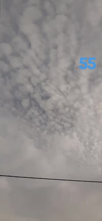 ماكس عدله • حربيه • بدون كفرات