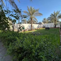 كربلاء عمود ٥١ • ٤٥٠م • مفروش