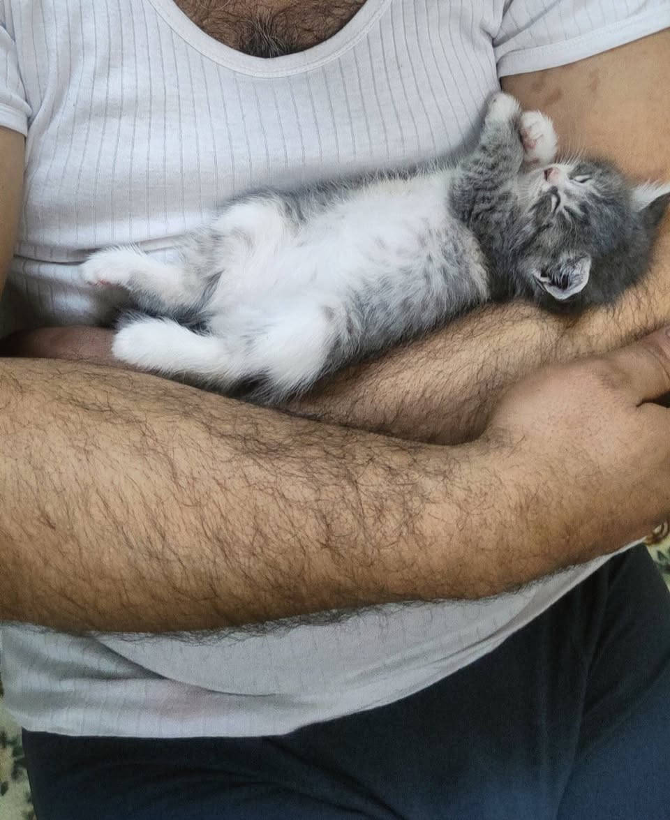 سلام عليكم منو يريد قط لتبني عدد ٢ موجود كركوك خابر وتدلل


**إذا كنت صاحب هذا الإعلان وتريد حذفه لأي سبب، رجاءا أرسل رسالة إلى الدعم الفني**