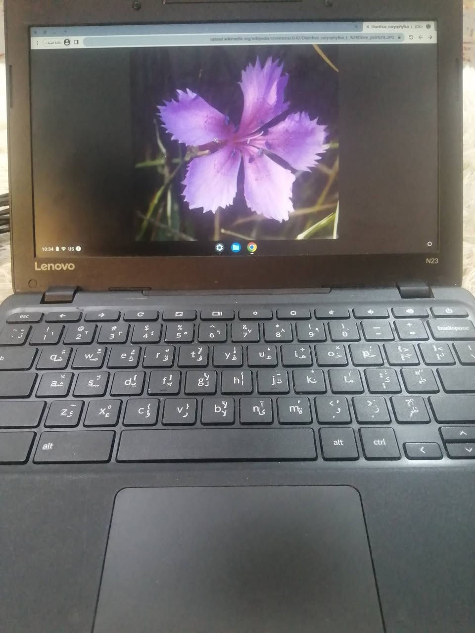 لابتوب حجم وسط من لينوڤا مثل ماموضح بالصور السعر 75 الف


**إذا كنت صاحب هذا الإعلان وتريد حذفه لأي سبب، رجاءا أرسل رسالة إلى الدعم الفني**