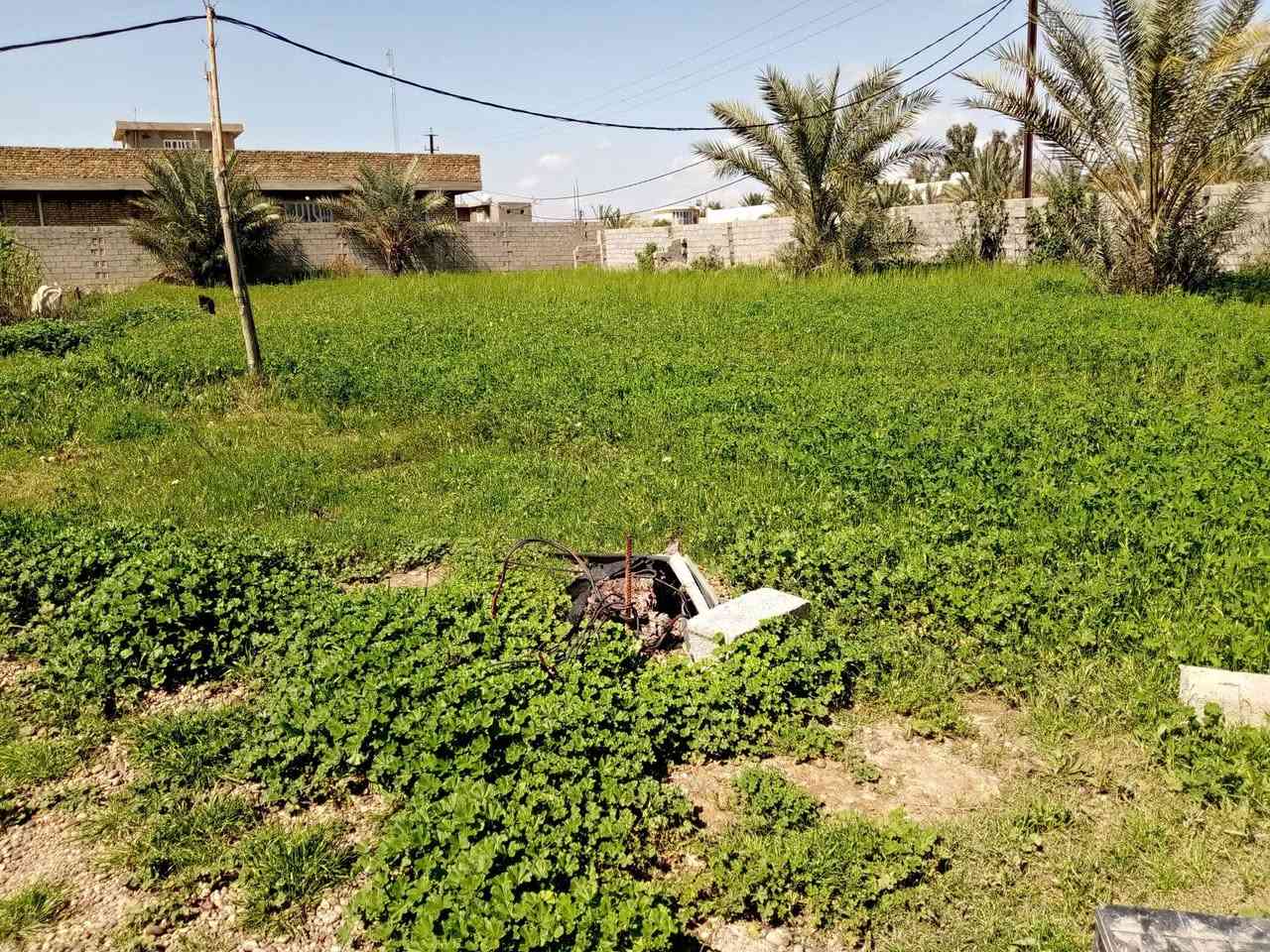 السلام عليكم يوجد ارض طابو سند 25 بغداد التاجي قرب المصابيح يوجد فيها كافت الخدمات تلاثة دونم ونص فيهآ سبع بيوت للبيع الاستفسار الاتصال على رقام ***********
