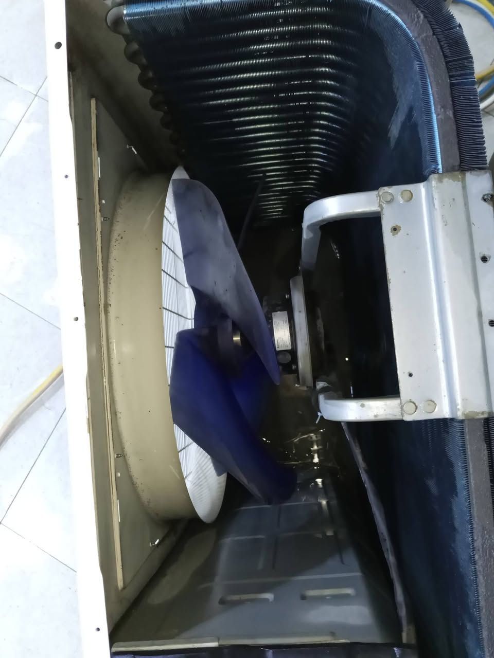 سبلت المتين 3طن جهاز بلادي مامفتوح بي برغي غاز R22بلادي شركه جهاز يخبل تبريده ثلج ونضيف كلش سعره 775الف وبي مجال مكاني بابل للستفسار على الرقم ***********
