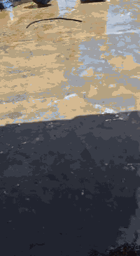 شفل  حفارة للبيع  عكرب  ابيع  ادوات  تصليح  للعلم شغاله
مكاني  كربلاء .
النوعيه  جيدة  ولكن ابيع  حديد  .
***********
