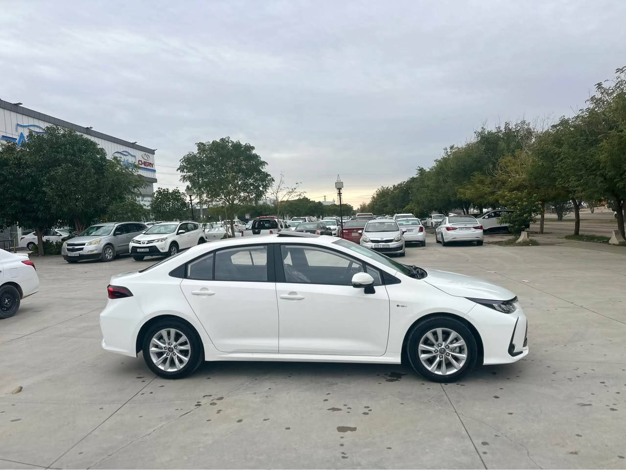 Corolla 2025 full HEV 
0772 352 2806 كالار, السليمانية

