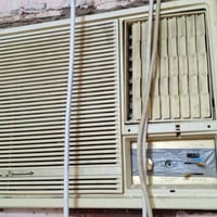 لخصر • صوب • كبير