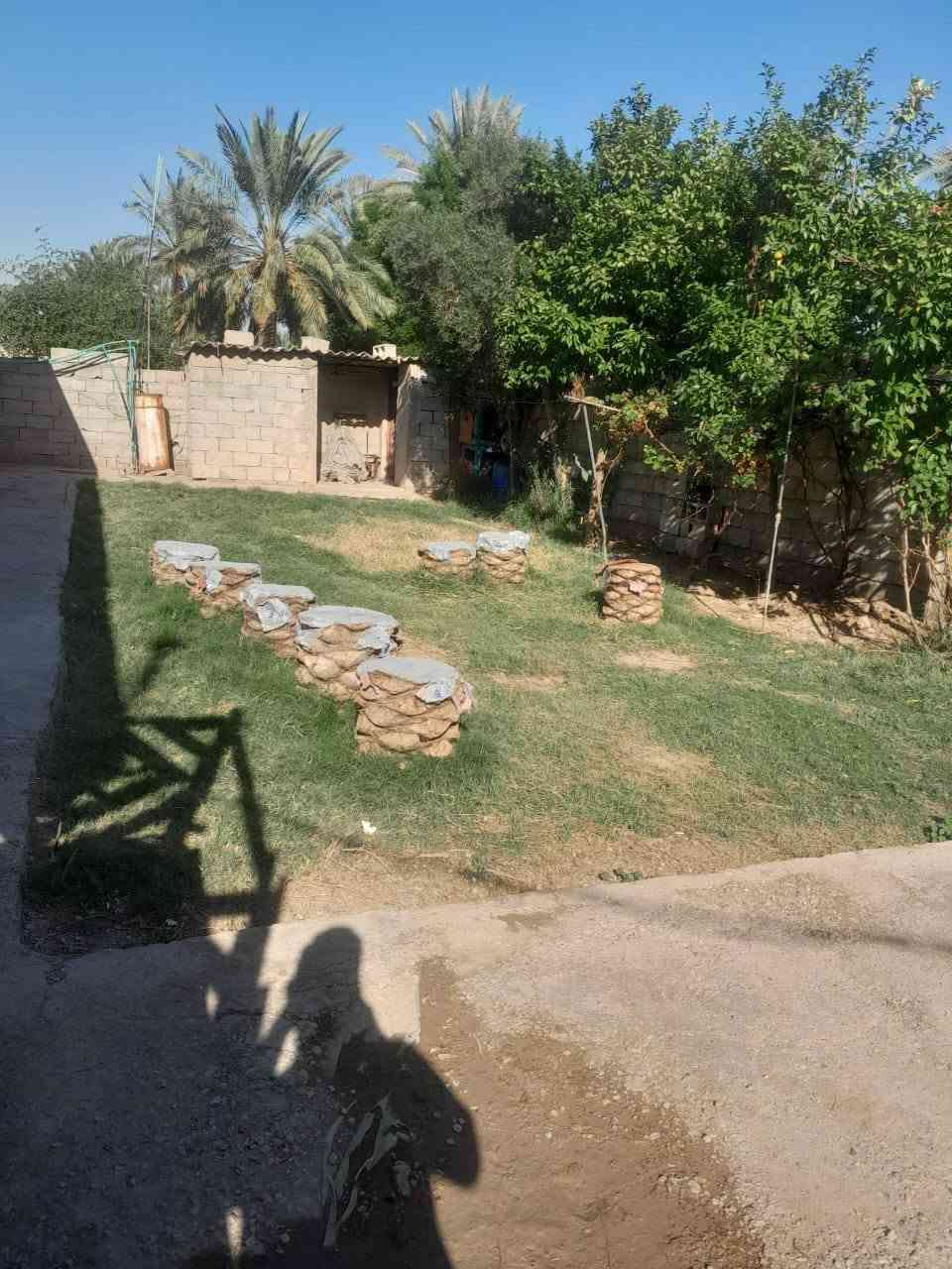 التفاصيل26 دونم سند 25 زراعي الزبيديه وجه شط وشارع ٥٠ /٢٥ دونم /سند ٢٥ تحويل ثاني يوم السعر 30مليون الدونم  وبيه مجال قليل وبيه بيت ٢٠٠ متر وماطور كهرباء ٣٠ حصان مجاز للاستفسار على رقم ***********
